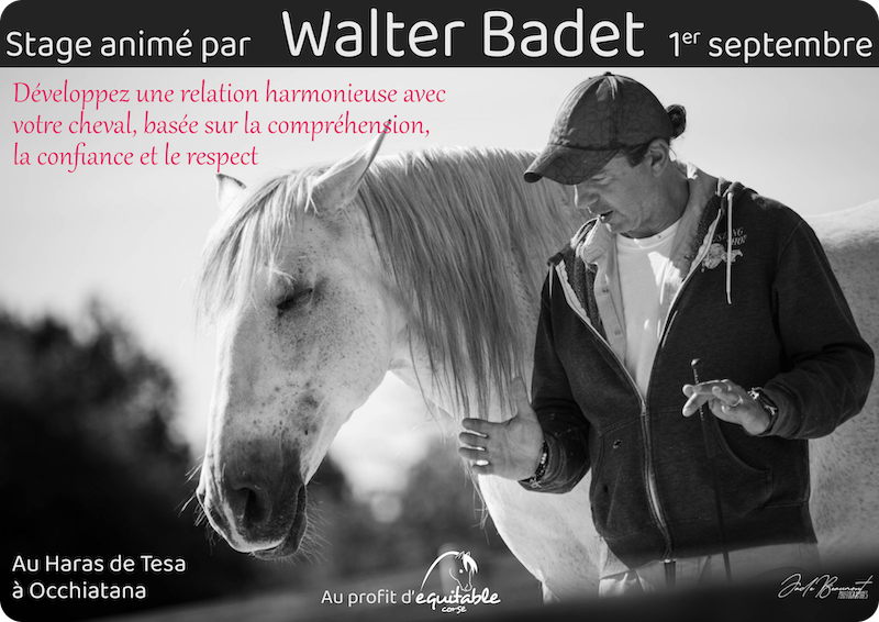 afficge stage walter badet